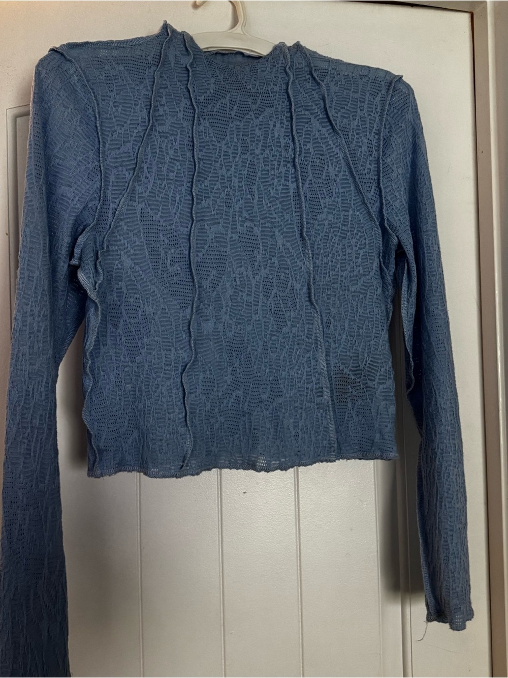 Urban Outfitters Blue Long-Sleeve Textured Crop Top